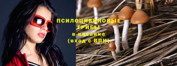 СК Алзамай