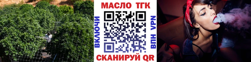 нарко площадка Telegram  Петушки  ТГК THC oil  что такое наркотик 